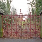 Strawberry field